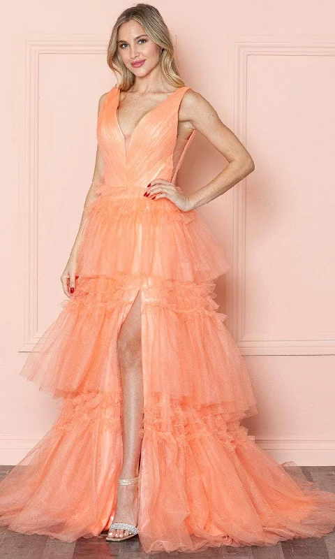 Poly USA 9406 - Wide Strap A-Line Prom Dress Tunics Sophisticated sleek